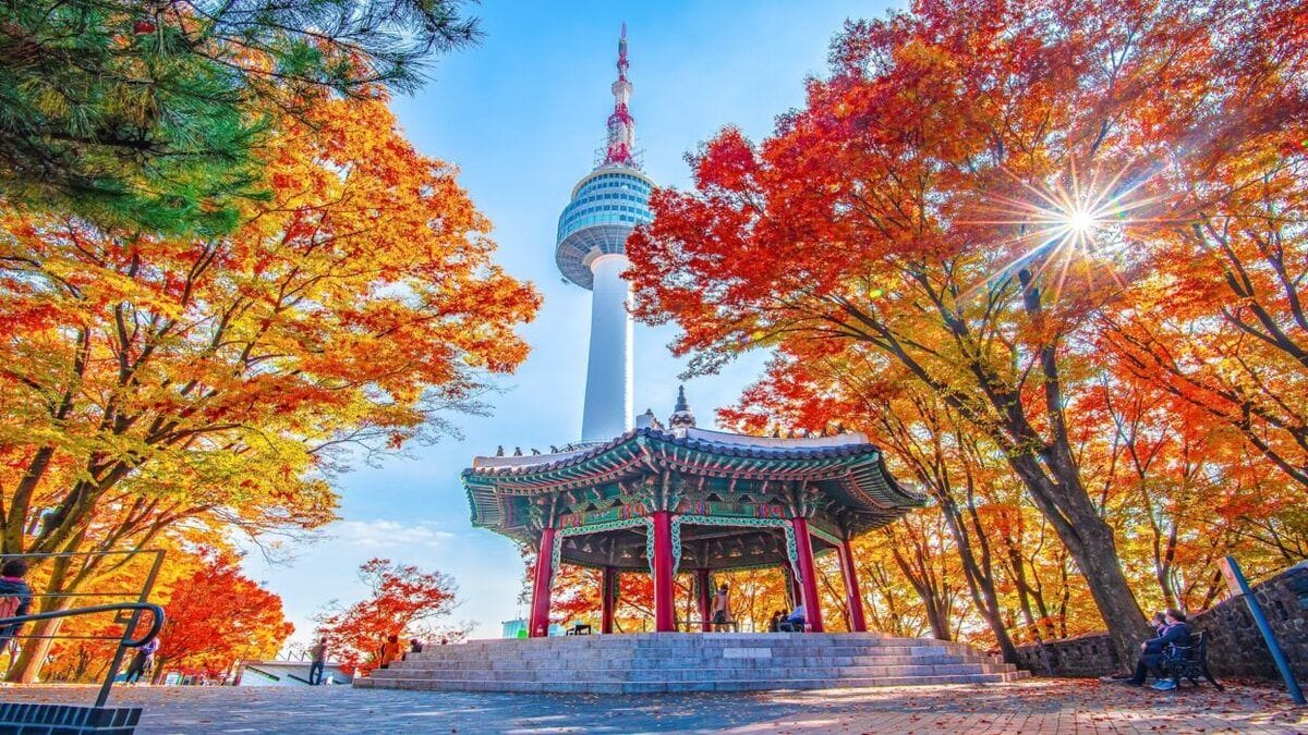 Hướng Dẫn Xin Visa Du Lịch Hàn Quốc 2025 Từ A-Z - Hướng dẫn xin Visa Blog Post